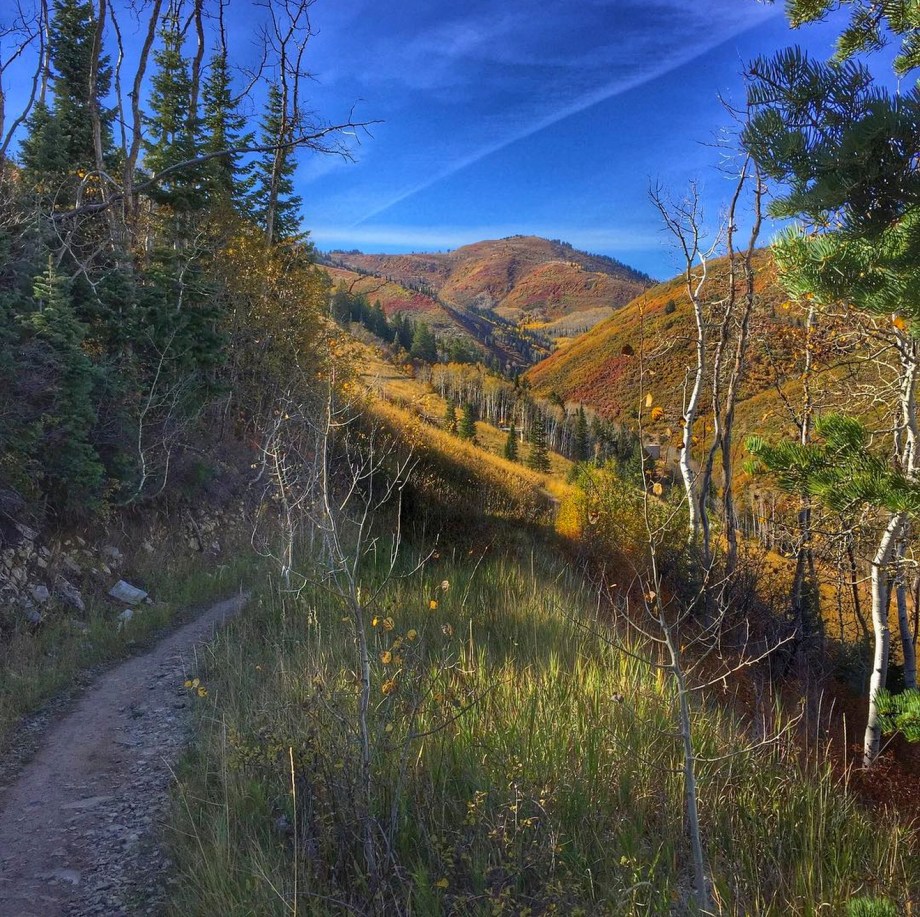 I ran four miles on the mountain and was treated to this stunning view. 